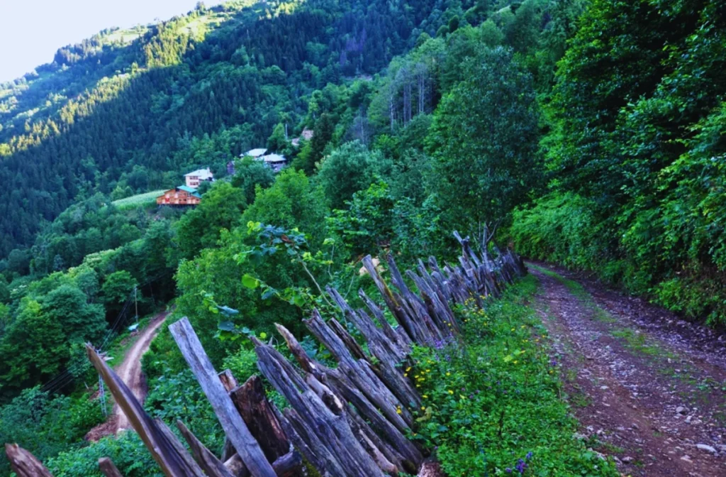 Maçahel artvin