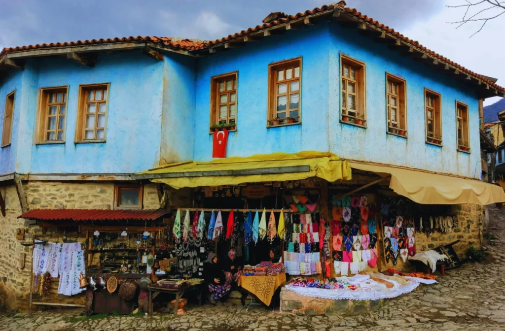 Bursa cumalıkızık köyü tarihi